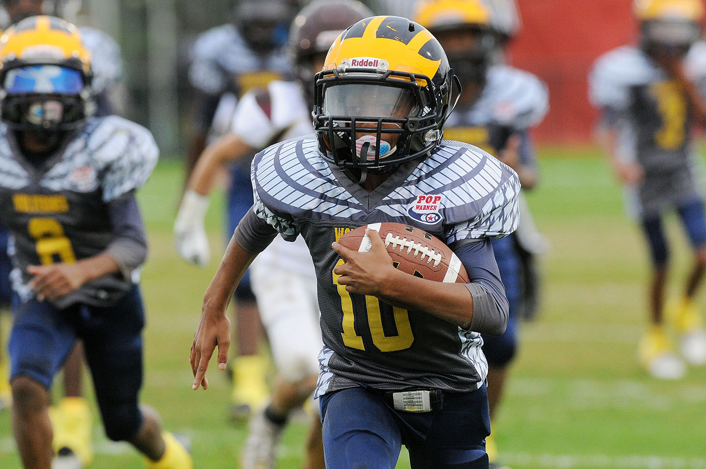 pop warner football standings